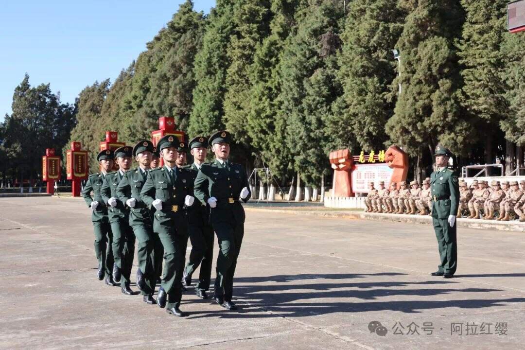 十四集團軍與昆明軍區(qū)的歷史沿革與貢獻，十四集團軍與昆明軍區(qū)的歷史沿革與卓越貢獻