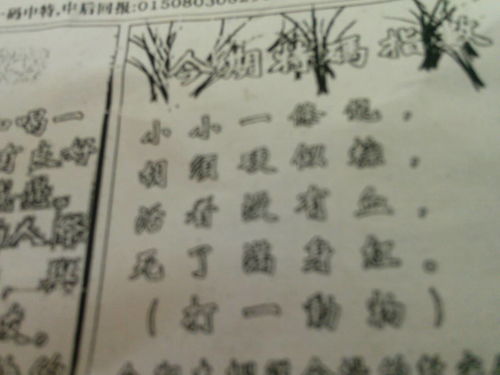 揭秘劉伯溫四肖選一肖的神秘預(yù)測藝術(shù)，劉伯溫四肖選一肖的神秘預(yù)測藝術(shù)揭秘