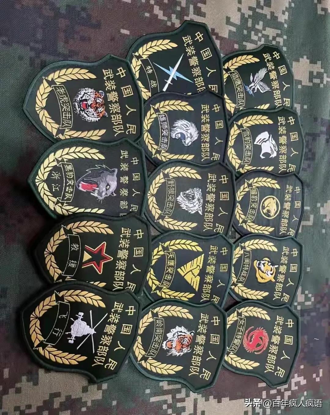 武警特種警察學(xué)院的位置及其重要性，武警特種警察學(xué)院位置與重要性概述
