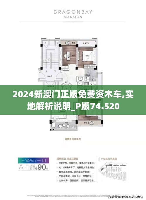 探索澳門未來，2025新澳門正版免費資訊車的發(fā)展與影響，澳門未來展望，2025年正版免費資訊車的發(fā)展與影響探索