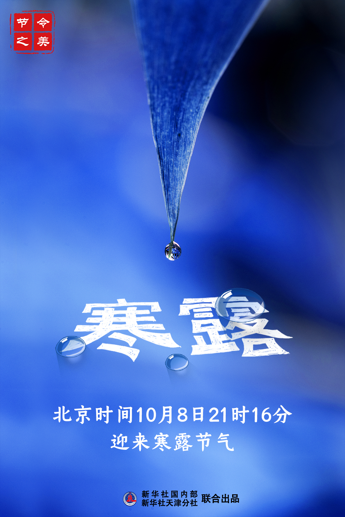 CCTV7與寒露之美的交融，CCTV7展現(xiàn)寒露之美，文化與自然的和諧交融