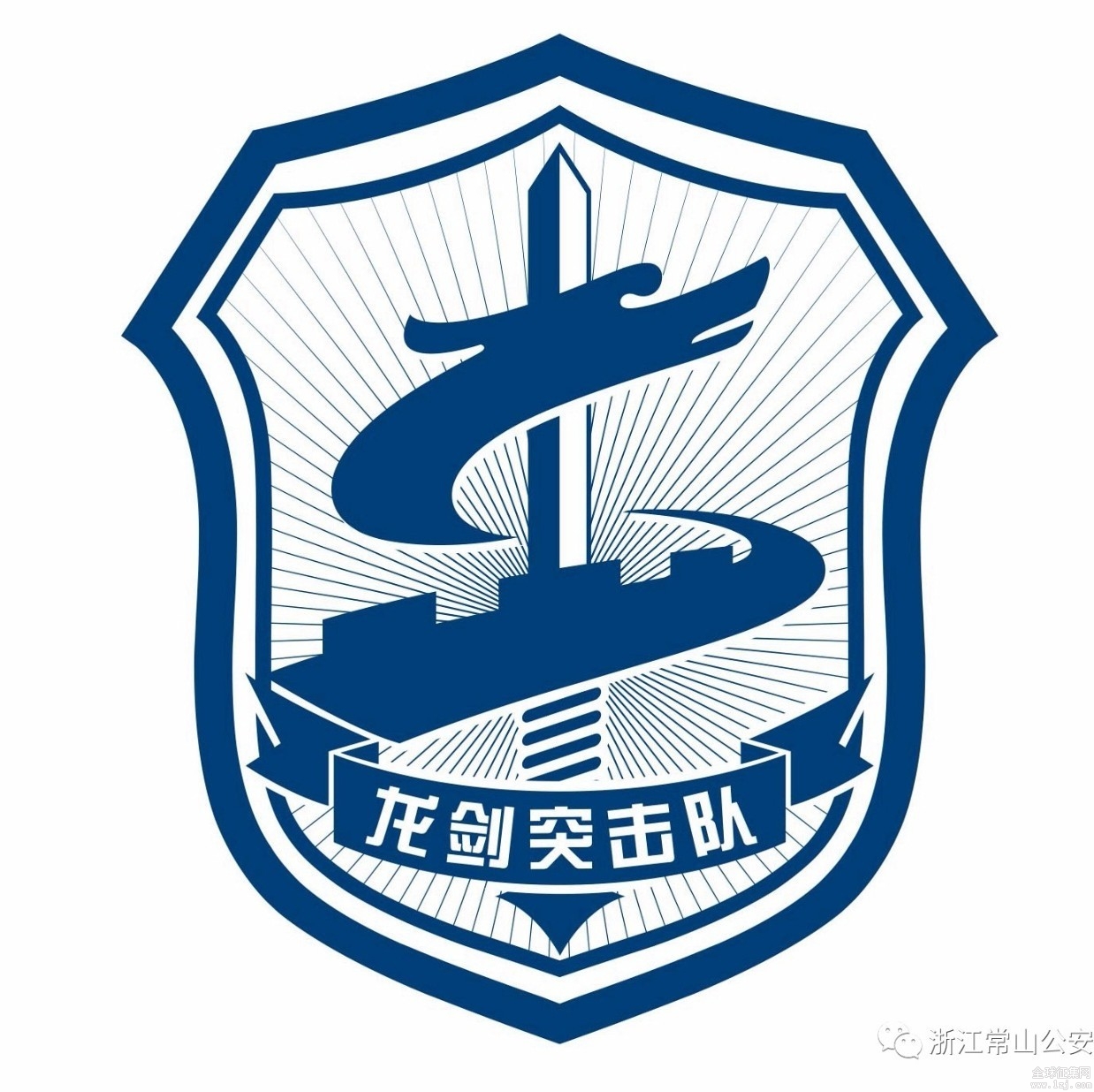 揭秘蛟龍突擊隊(duì)隊(duì)標(biāo)，榮耀與使命的象征，揭秘蛟龍突擊隊(duì)隊(duì)標(biāo)，榮耀與使命的象征探秘