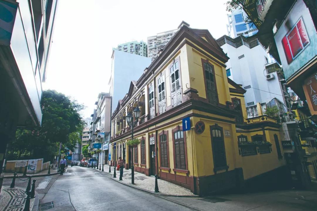 新澳門今晚精準(zhǔn)一肖的獨(dú)特魅力與預(yù)測(cè)探索，新澳門今晚精準(zhǔn)生肖的魅力揭秘與預(yù)測(cè)探索