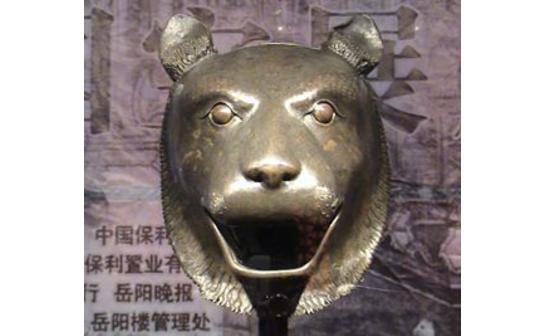 香港期期中必中生肖，揭秘背后的文化現(xiàn)象與預(yù)測邏輯，揭秘香港期期中必中生肖背后的文化現(xiàn)象與預(yù)測邏輯