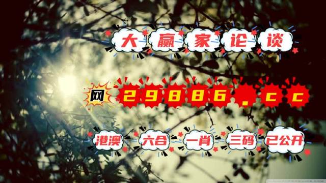 王中王與肖一碼，揭秘背后的資料與秘密，王中王與肖一碼，揭秘背后資料與神秘面紗