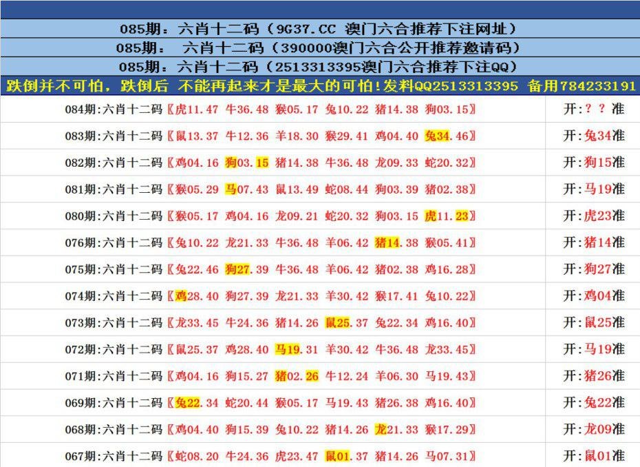 澳門正版資料免費更新——探索澳門正版的魅力與價值，澳門正版資料免費更新，探索澳門正版的獨特魅力與價值