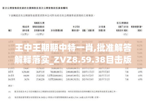王中王一肖特網(wǎng)，探索與解析，王中王一肖特網(wǎng)深度探索與解析