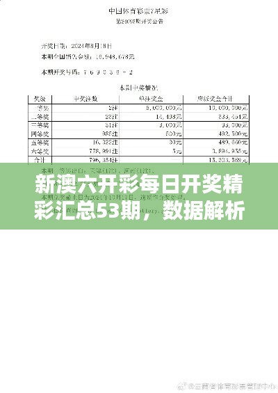 新澳六開獎結(jié)果資料查詢，探索與解析，新澳六開獎結(jié)果解析與查詢探索