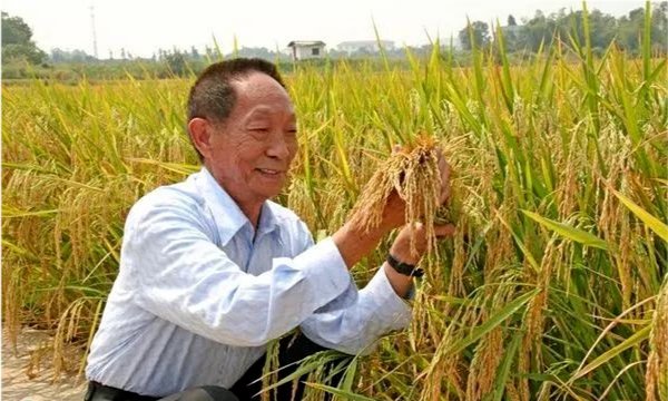 共和國(guó)勛章獲得者可以享受的待遇，共和國(guó)勛章獲得者享有的待遇，國(guó)家級(jí)榮譽(yù)的最高禮贊