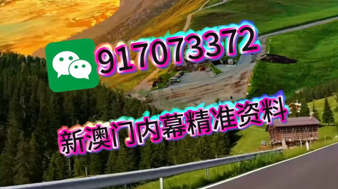 澳門王中王，一肖一馬的傳奇故事，澳門王中王，一肖一馬的神秘傳奇故事