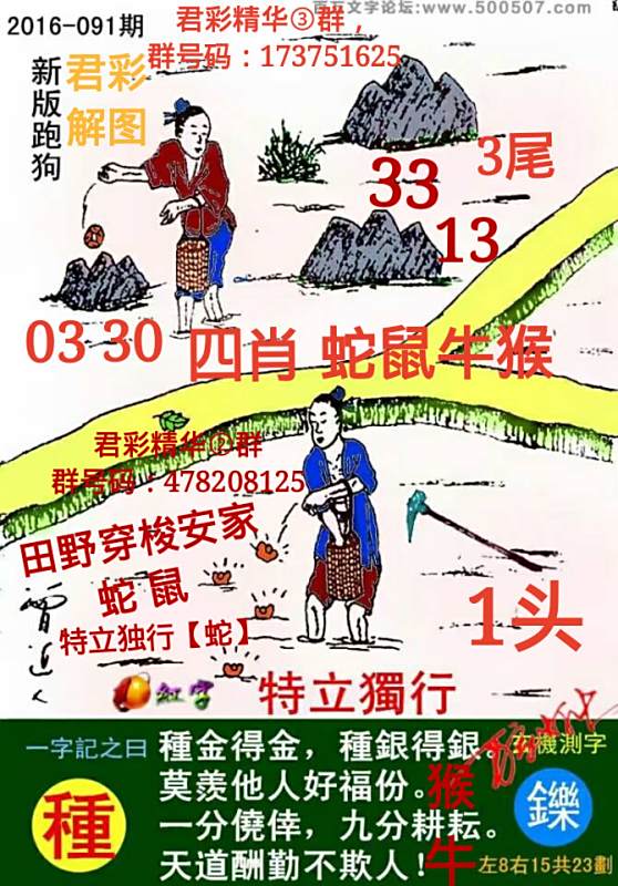 神秘?cái)?shù)字探索（或數(shù)字秘密探索）