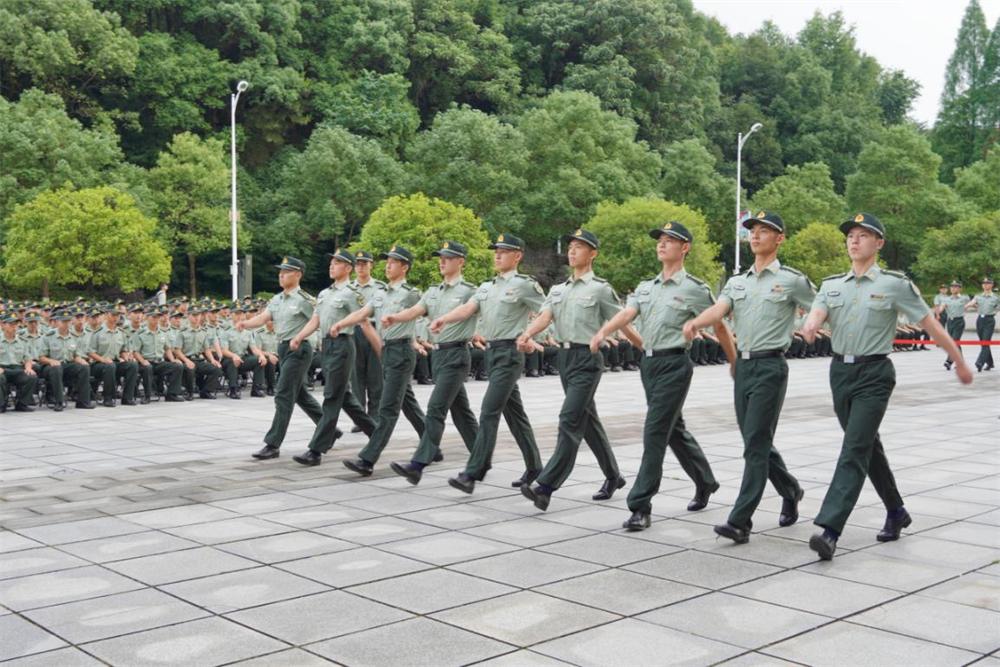 軍事綜合信息網(wǎng)組織結(jié)構(gòu)研究，軍事綜合信息網(wǎng)組織結(jié)構(gòu)深度研究