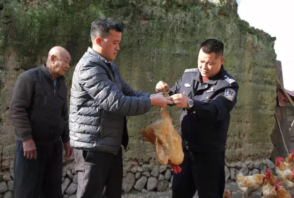 免費預(yù)測命中率高達百分之百