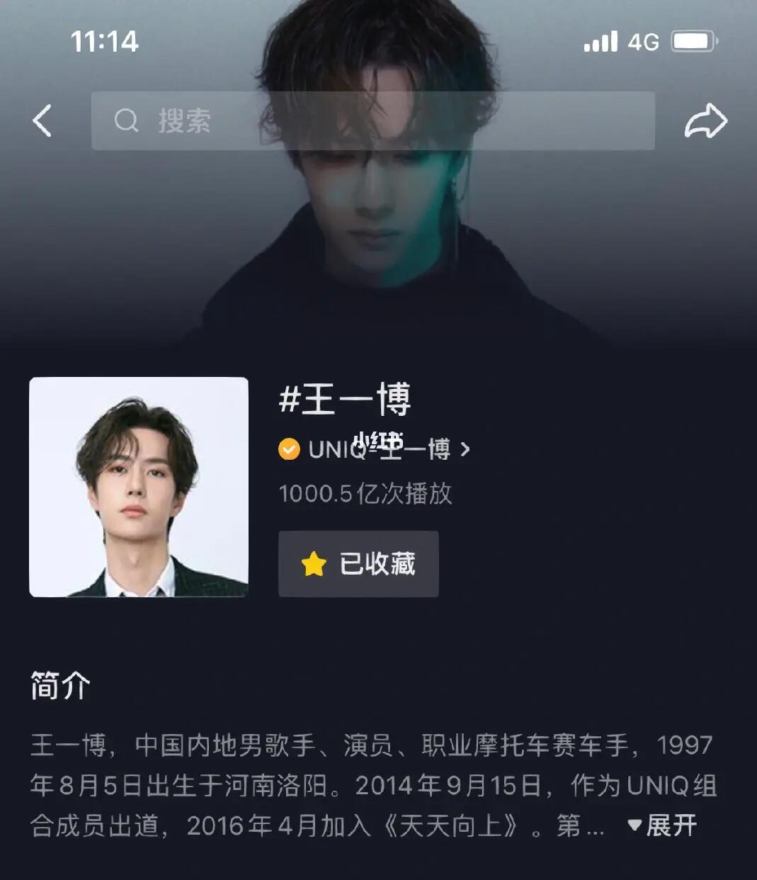 探索王中王一肖中特，一種獨特的文化現象，王中王一肖中特，獨特的文化現象探索