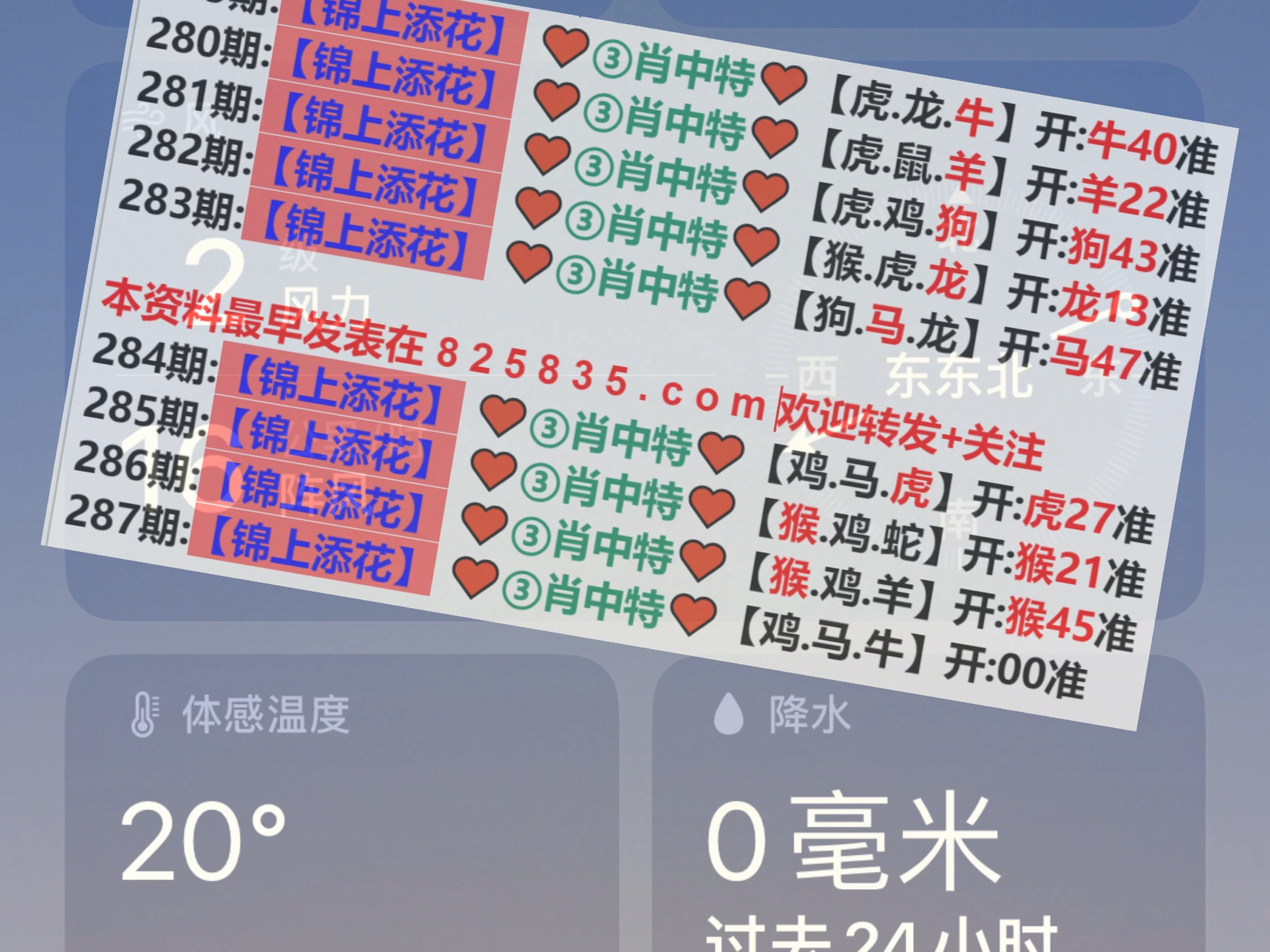 新澳2025年精準(zhǔn)一肖一碼預(yù)測(cè)——揭秘未來(lái)彩票走向，揭秘新澳彩票走向，2025年精準(zhǔn)一肖一碼預(yù)測(cè)報(bào)告