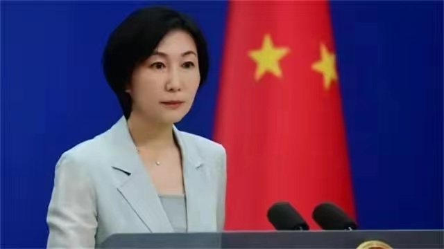 中央新聞發(fā)言人毛寧的簡歷概覽，中央新聞發(fā)言人毛寧的生平概覽