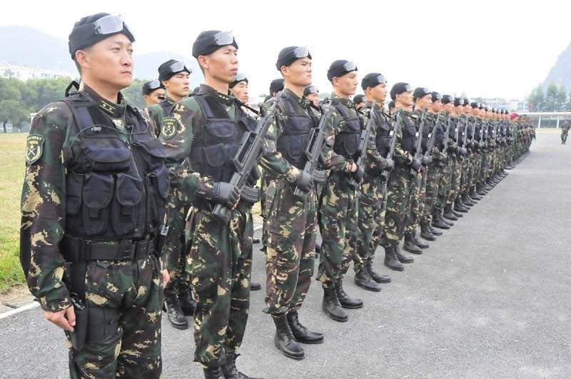 武警與陸軍的區(qū)別，職責(zé)、任務(wù)與特色的差異探討，武警與陸軍職責(zé)、任務(wù)與特色差異探討，兩大軍種的區(qū)別解析