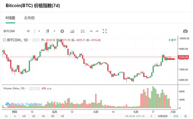 王中王資科一肖中持天，探索與突破的力量，王中王資科一肖持天，探索與突破的力量