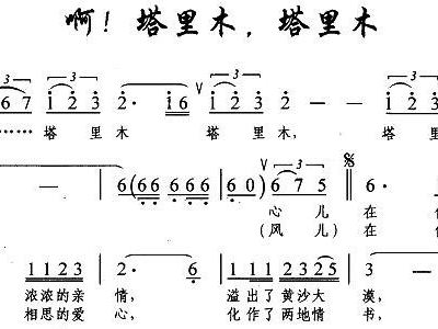 塔里木伴奏MP3，音樂與技術(shù)的完美結(jié)合，塔里木伴奏MP3，音樂與技術(shù)的完美融合