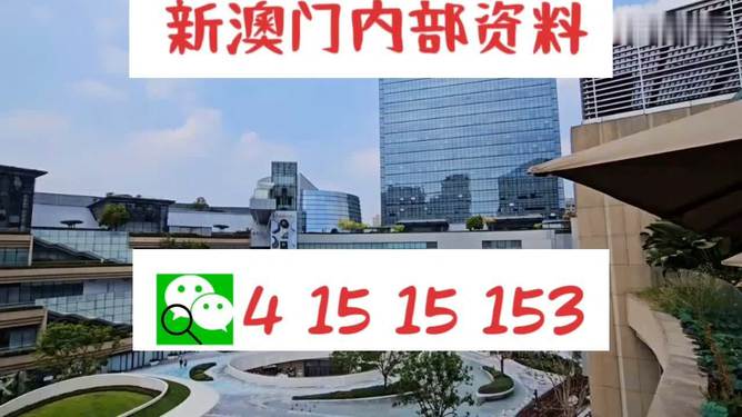 澳門一碼精準(zhǔn)必中的奧秘與探索，澳門一碼精準(zhǔn)必中的奧秘揭秘與探索