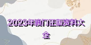 澳門正版免費(fèi)全年資料大全與精彩旅游團(tuán)體驗(yàn)，澳門正版全年資料大全與精彩旅游團(tuán)體驗(yàn)之旅