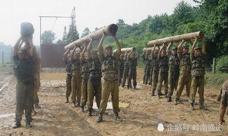 國際獵人學(xué)校含金量深度解析，國際獵人學(xué)校含金量全面解析