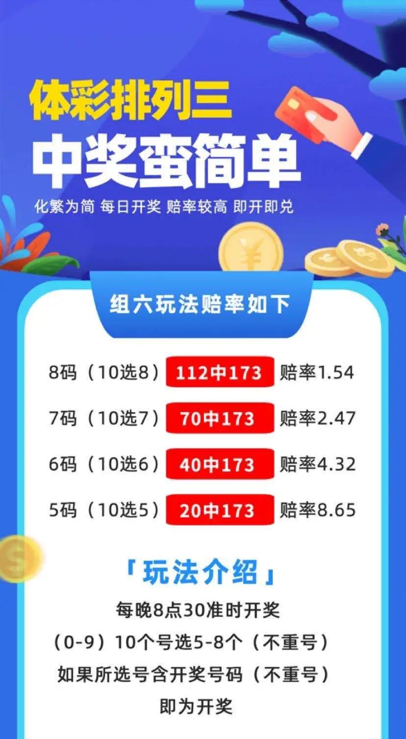 中三肖賠付多少，深度解析與探討，中三肖賠付深度解析與探討指南