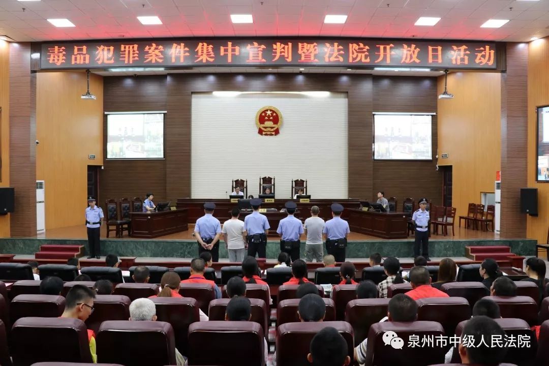 福建泉州案，深度探究與反思，福建泉州案深度探究與反思，背后的故事與啟示