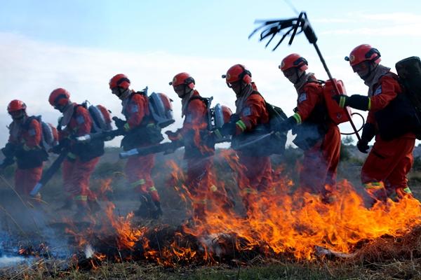 新疆軍區(qū)總兵力概況，新疆軍區(qū)總兵力概況簡介