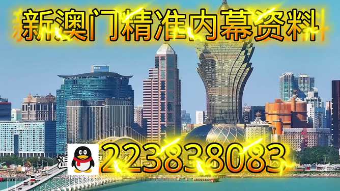 澳門特馬今晚之未來展望與期待（2025年），澳門特馬未來展望，2025年之期待與展望
