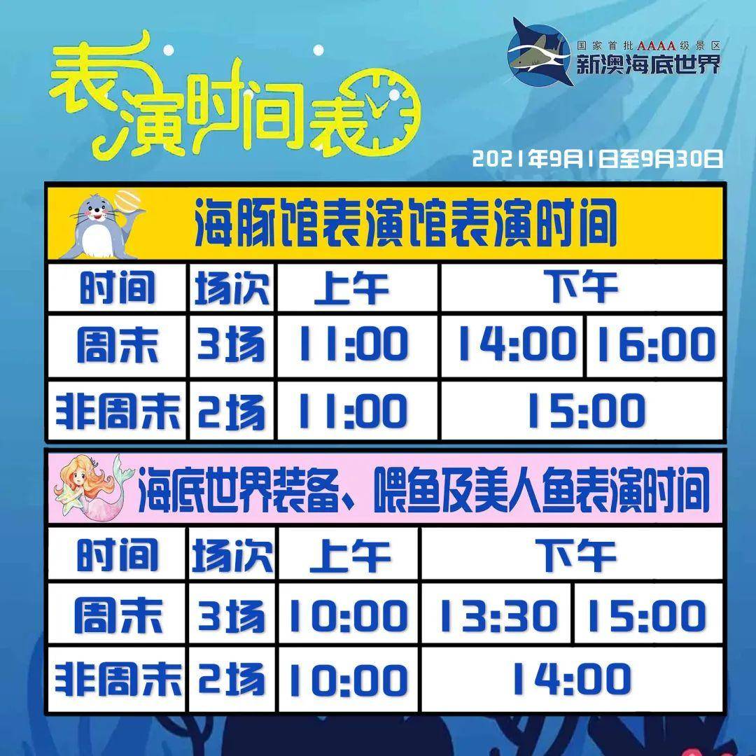新澳天天開好彩資料大全——探索彩票世界的奧秘與魅力，新澳天天開好彩資料大全，揭秘彩票世界的魅力與奧秘