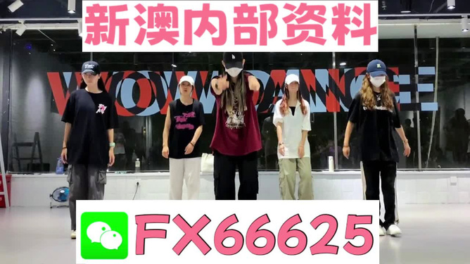 新奧天天免費資料大全，探索與收獲，新奧天天免費資料大全，探索之旅與收獲時刻