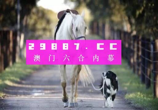 新澳一肖一碼，探索與解析，新澳一肖一碼，深度探索與解析