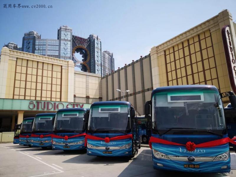澳門六開獎(jiǎng)結(jié)果走勢(shì)圖，探索與解析，澳門六開獎(jiǎng)結(jié)果走勢(shì)圖深度解析與探索
