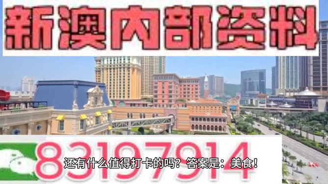 澳門最精準——探索澳門的精準魅力，澳門精準魅力探索之旅