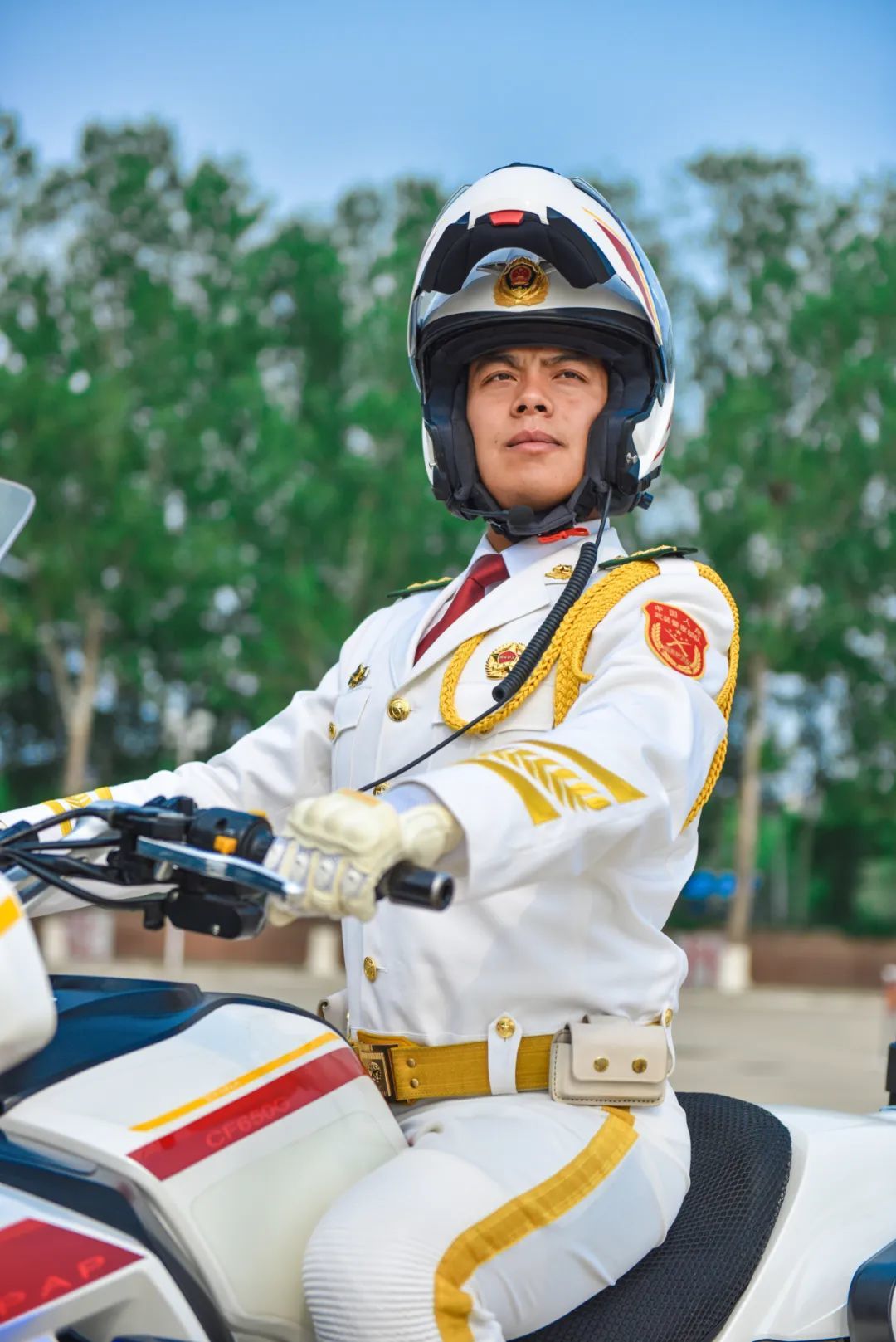 國賓護衛(wèi)隊，護衛(wèi)任務的榮耀與使命，國賓護衛(wèi)隊，榮耀與使命的護衛(wèi)任務
