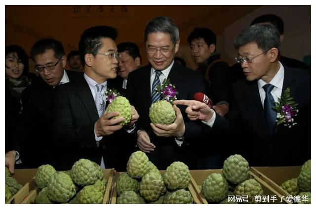 大陸解除對臺灣番荔枝輸入禁令，深化兩岸交流的新里程碑，深化兩岸交流的新里程碑，大陸解除臺灣番荔枝輸入禁令