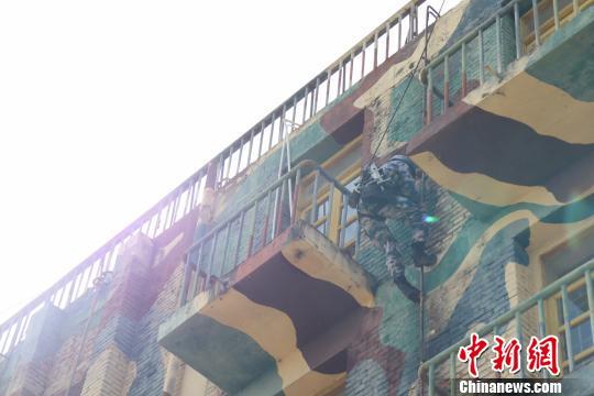蛟龍突擊隊(duì)，頂尖的實(shí)力與不凡的傳奇，蛟龍突擊隊(duì)，頂尖實(shí)力與傳奇故事