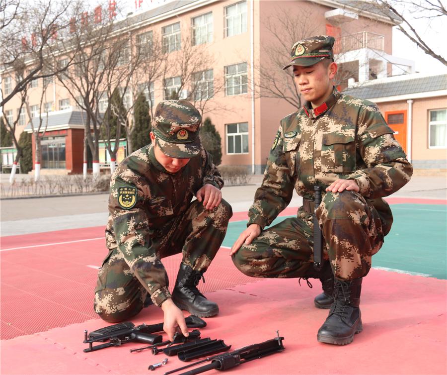 武警老兵與新兵之間的沖突，深度分析與反思，武警新兵老兵沖突背后的深度分析與反思