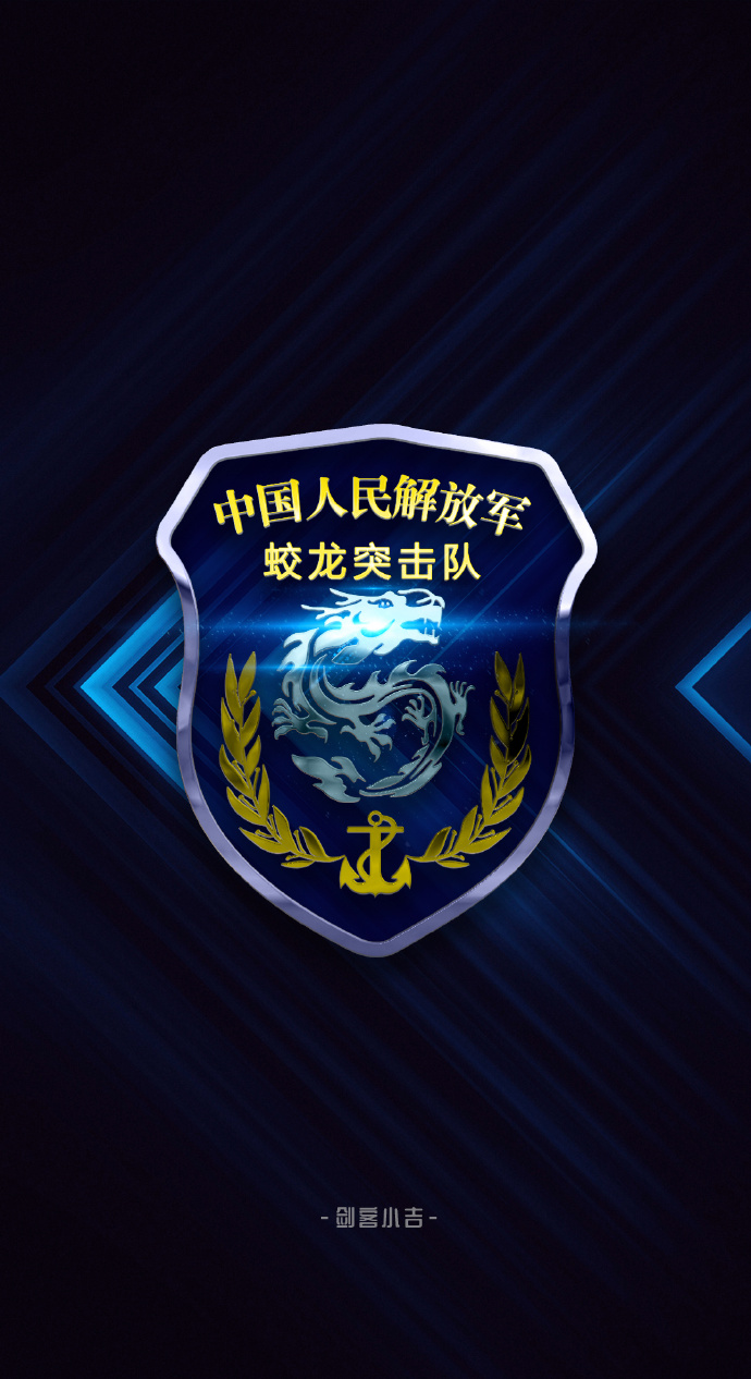 蛟龍突擊隊臂章高清，榮耀的象征與力量的展現(xiàn)，蛟龍突擊隊臂章高清，榮耀與力量的象征
