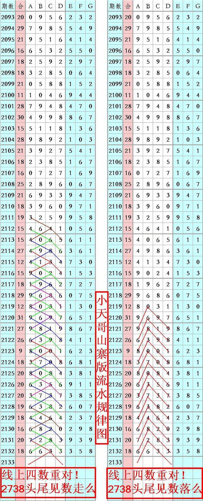 王中王三肖一碼期期中——探尋彩票背后的秘密，彩票背后的秘密，王中王三肖一碼期期中揭秘