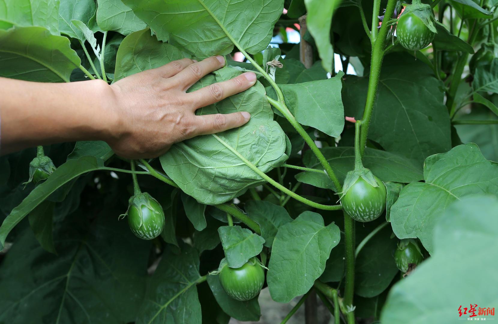 全球獵人學(xué)校的數(shù)量及其影響，全球獵人學(xué)校數(shù)量及其影響力探究