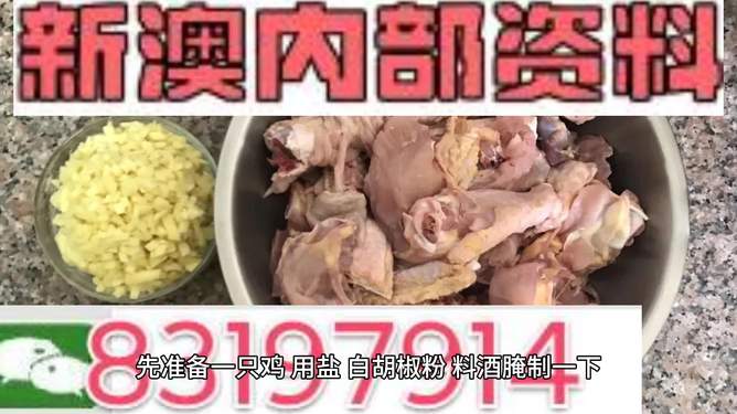 探索未來之門，澳門新資料雞號(hào)展望（2025年展望），探索未來之門，澳門新資料雞號(hào)展望至2025年