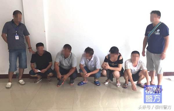 澳門六仔開獎結(jié)果，探索與解析，澳門六仔開獎結(jié)果解析與探索