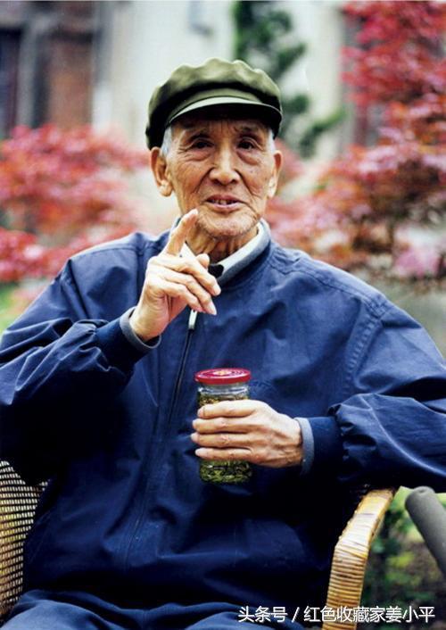 紀(jì)念衛(wèi)國戰(zhàn)爭勝利七十周年閱兵，回顧歷史，展望未來，衛(wèi)國戰(zhàn)爭勝利七十周年閱兵，回顧歷史榮光，展望未來輝煌