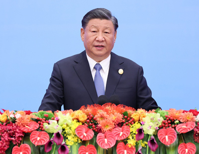 三肖王中王選一肖，探尋最佳選擇的背后邏輯，探尋三肖王中王選一肖的背后邏輯