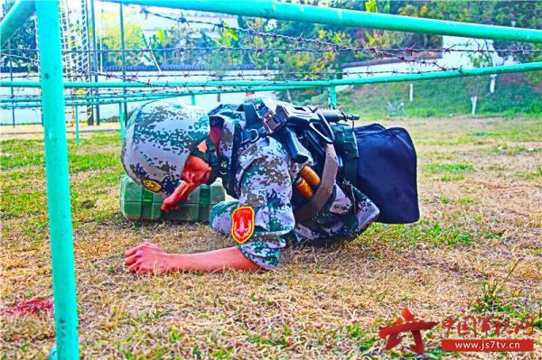 下載軍事陸軍網(wǎng)軟件，探索軍事信息的便捷途徑，下載軍事陸軍網(wǎng)軟件，便捷探索軍事信息的門戶