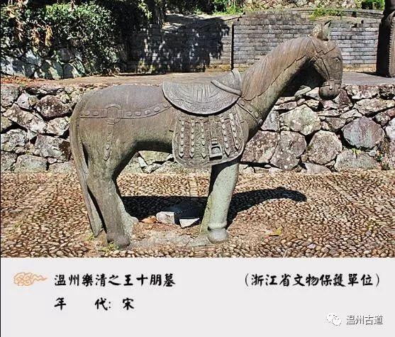 狀元紅高手壇，探索一個獨特的學習與交流平臺，狀元紅高手壇，獨特學習交流平臺的探索