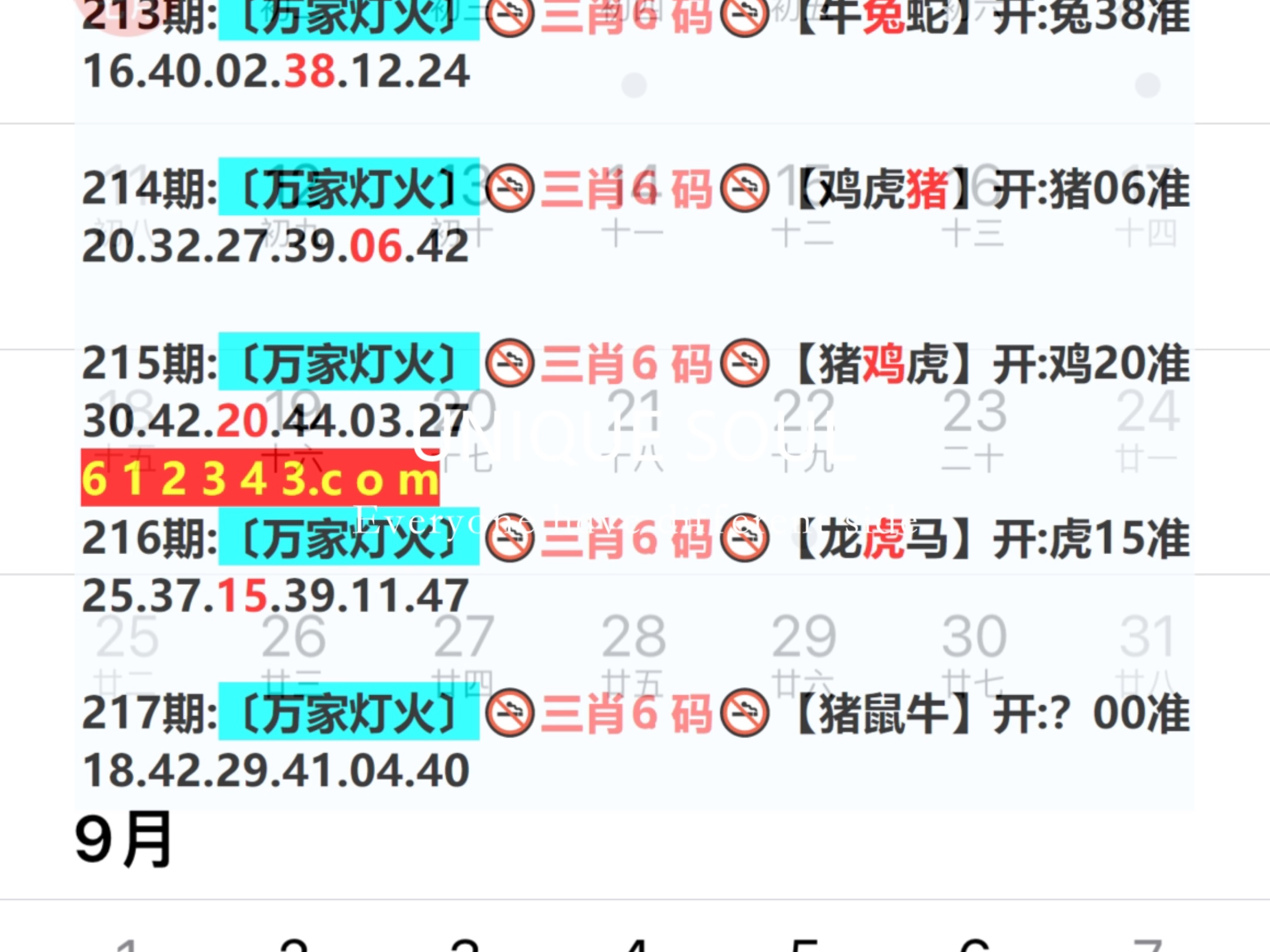 新奧今晚預(yù)測(cè)一肖一特——揭秘生肖運(yùn)勢(shì)與未來走向，新奧今晚預(yù)測(cè)生肖運(yùn)勢(shì)揭秘，一肖一特與未來走向分析