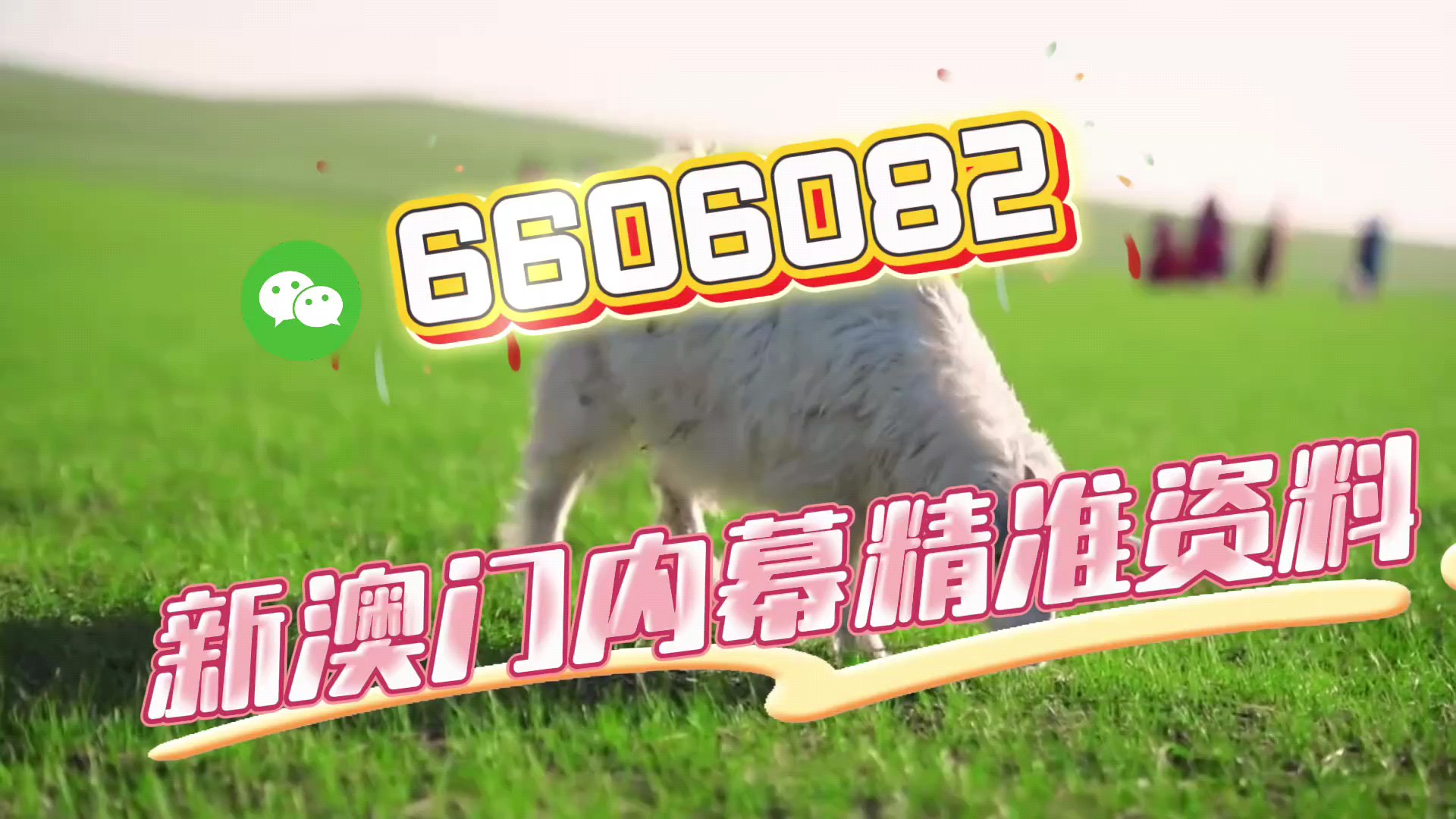 澳門(mén)一一碼一特一中獎(jiǎng)號(hào)碼預(yù)測(cè)，探索彩票世界的神秘面紗，澳門(mén)彩票一一碼中獎(jiǎng)號(hào)碼預(yù)測(cè)揭秘，探索彩票世界的神秘之旅
